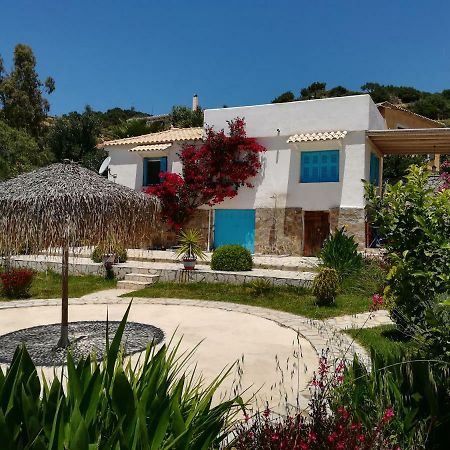 Lemon Tree Cottage 피니코운타 외부 사진