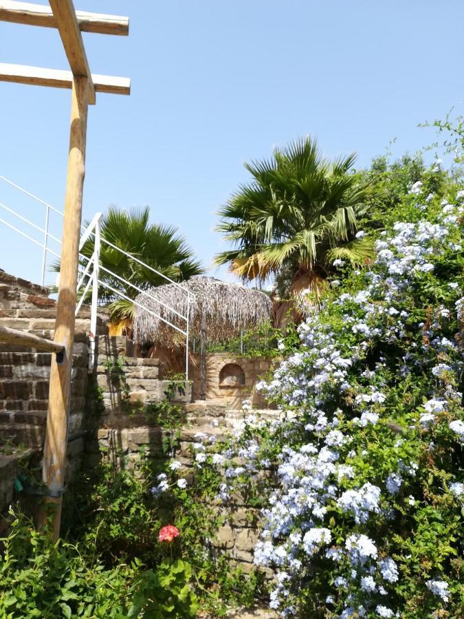 Lemon Tree Cottage 피니코운타 외부 사진