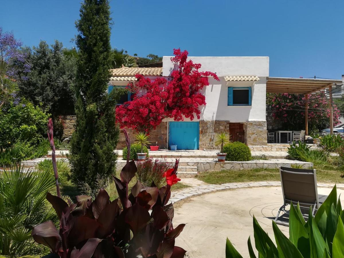 Lemon Tree Cottage 피니코운타 외부 사진