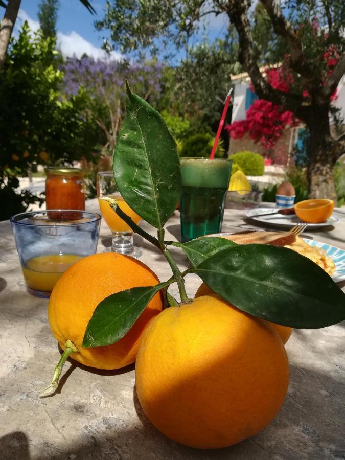 Lemon Tree Cottage 피니코운타 외부 사진