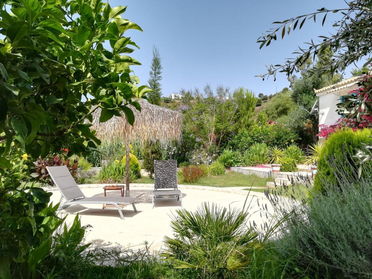 Lemon Tree Cottage 피니코운타 외부 사진