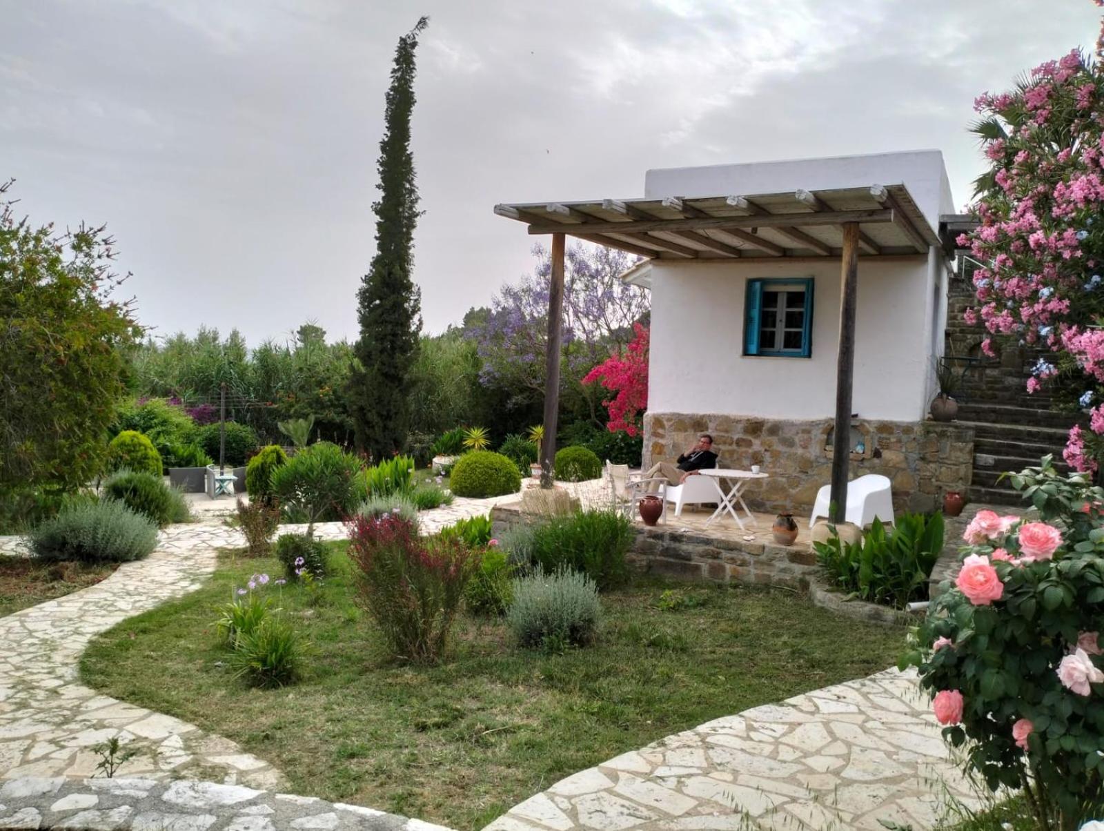 Lemon Tree Cottage 피니코운타 외부 사진
