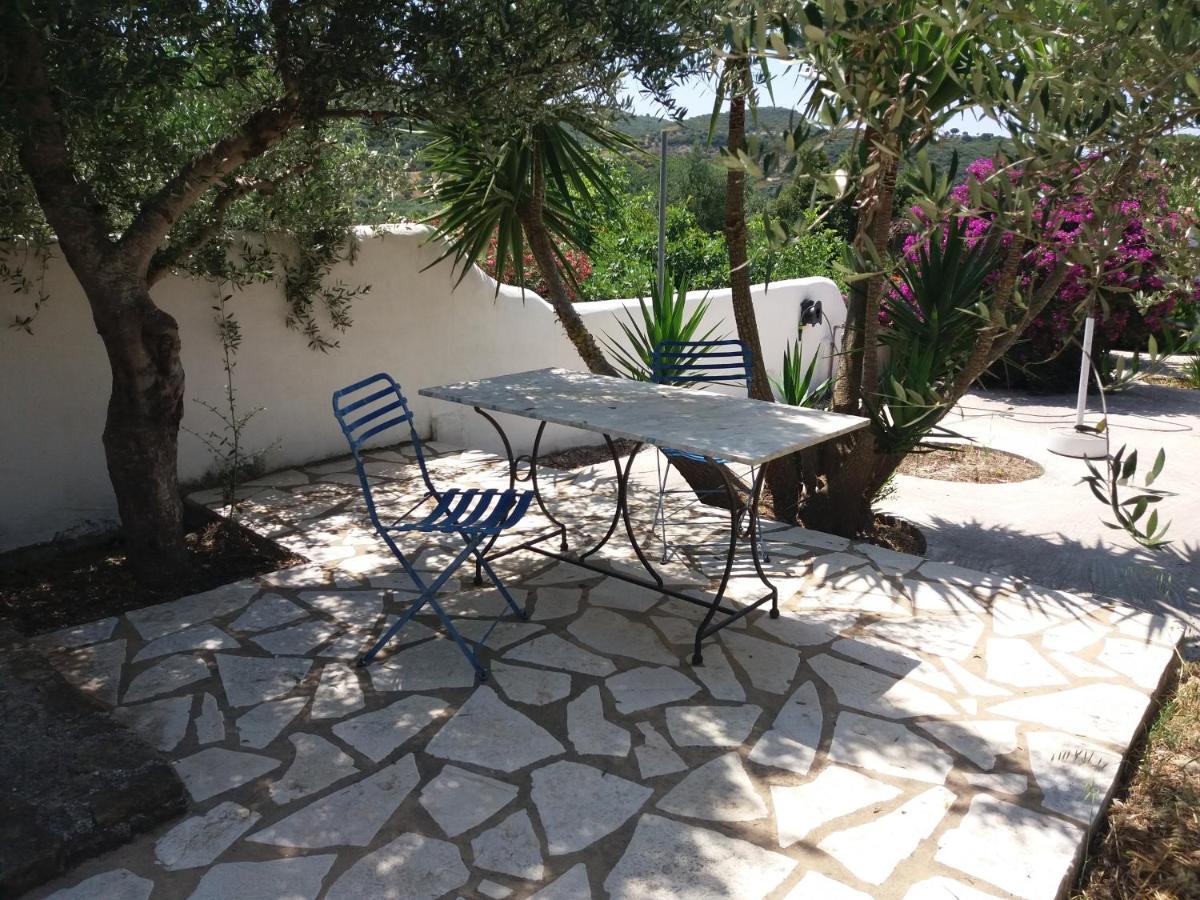 Lemon Tree Cottage 피니코운타 외부 사진